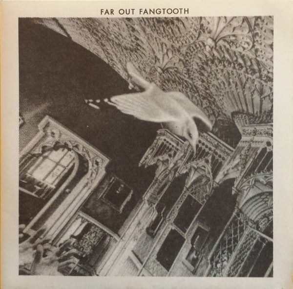 Far-Out Fangtooth : Why Don't You Cry (7", Single)